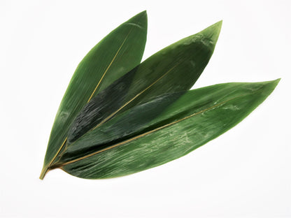 Boiled Bamboo Leaves (Sasa No Ha)