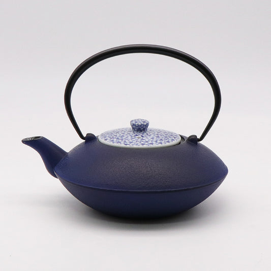 Nishikawa Iron Teapot 30oz - Sakura