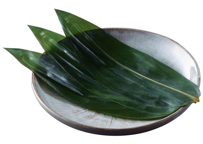 Boiled Bamboo Leaves (Sasa No Ha)