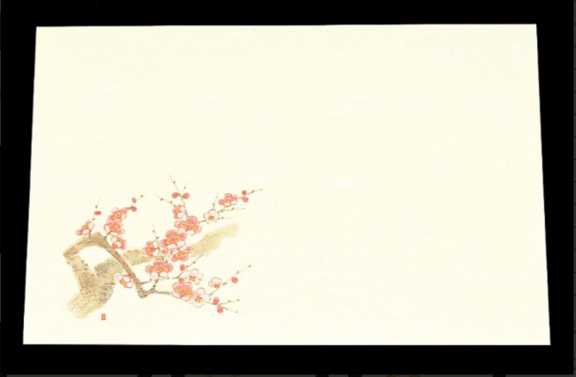 Decorative Washi Paper Placemats (100pk)